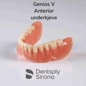 Genios V Anteriors protesetenner 6 stk UK