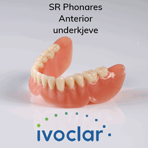 SR Phonares Anterior protesetenner 6 stk UK