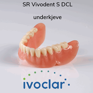 SR Vivodent S DCL protesetenner 6 stk UK